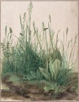 Albrecht Dürer - Large Piece of Turf