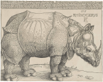 Albrecht Dürer - Rhinoceros