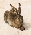 Albrecht Dürer - The Hare - 1502